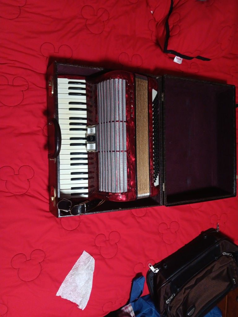 Hohner Acordian