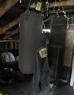 Everlast Punching Bag