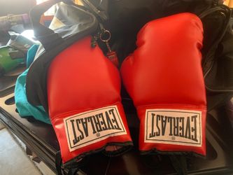 Boxing Gloves Everlast with Bag