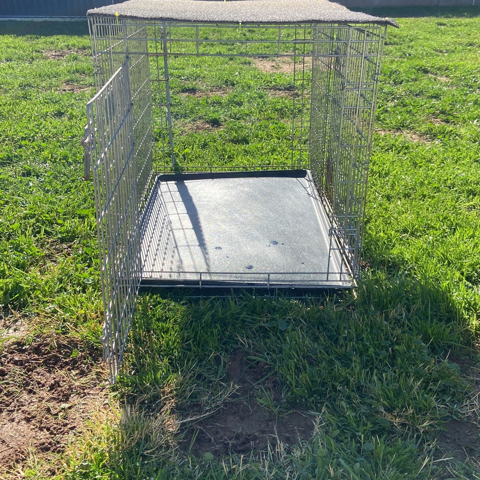 Large Dog Kennel