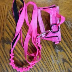 Harness/Leash