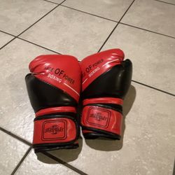 Sage Power Boxing Gloves