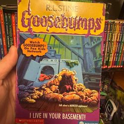 Full Original Goosebumps (62 Books) & Fear Street Series – R.L. Stine First Editions, Pristine Condition