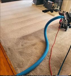 Floor cleaner