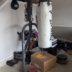 Punching Bag 