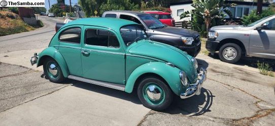 Classic 61 vw bug
