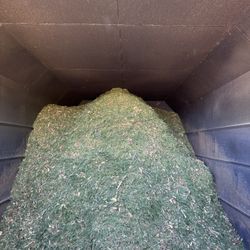 FREE Clean  pine Mulch 
