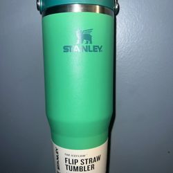 Green Stanley Tumbler Cup 
