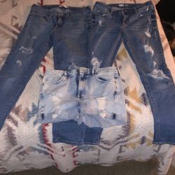 Pants And Shorts