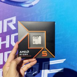 AMD Ryzen 5 9600X