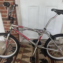 1998 Dyno GT Compe