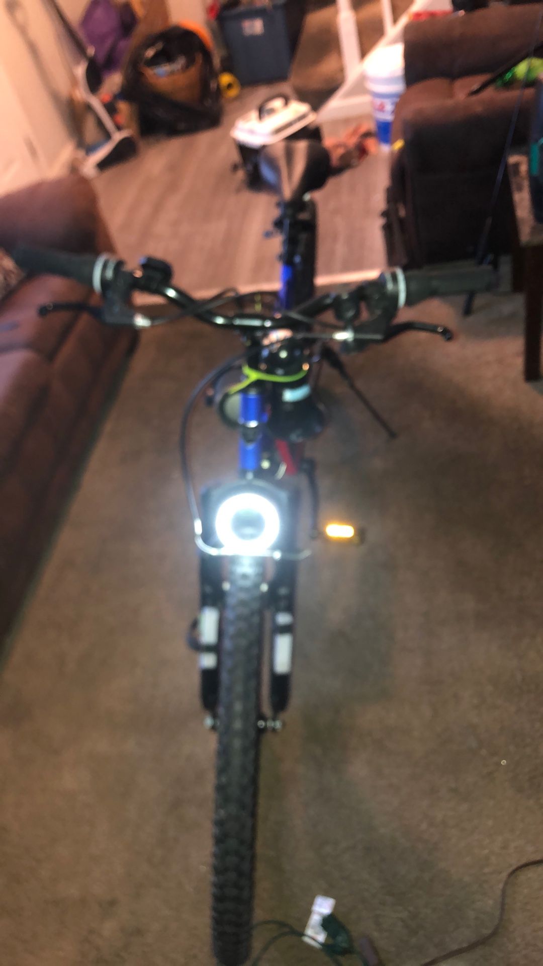 21 Speed Kent 29 Bike
