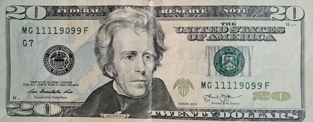 Fancy Serial # $20 Bill