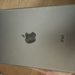 iPad mini 2