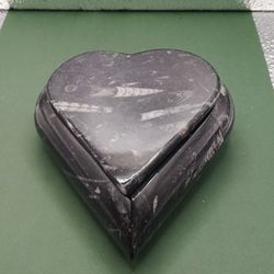 Orthoceras Container With A Lid 