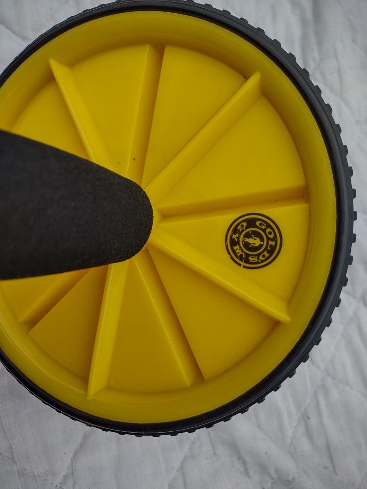 Gold's Gym An Wheel