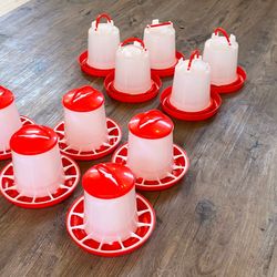 Comedero y Bebedero  $5 cada uno