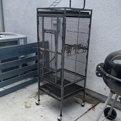 Free Bird cage 
