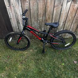 Giant Young Adult Bike – $120