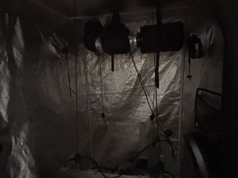 3x3  AC infinity grower