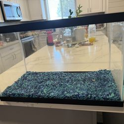 Fish Tank And accessories 