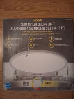 Ceiling light