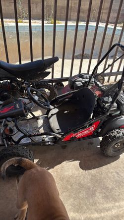 The go kart