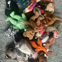 Beanie Baby Lot