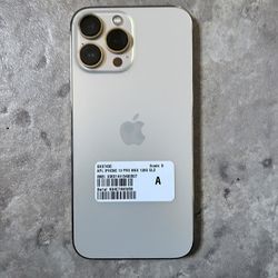 iPhone 13 Pro Max