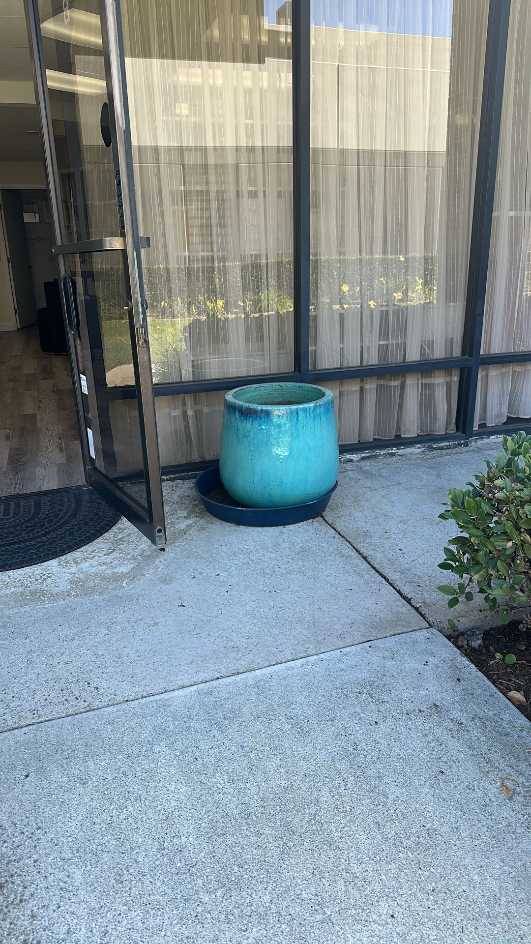 Garden Flowers Trees  Pot 