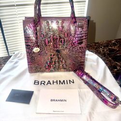 Brahmin Purse