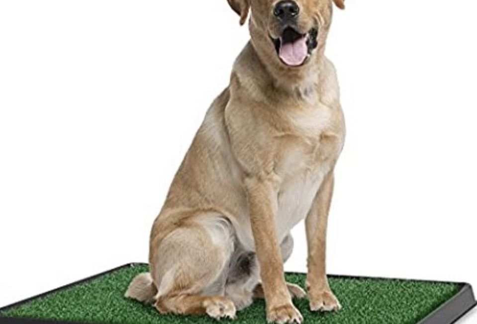Artificial Grass Potty Training Mat For Dogs