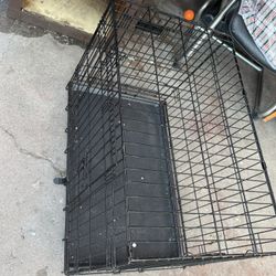 Dog Cage