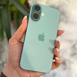 Apple 16 