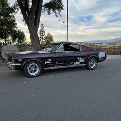 1966 Fastback Hypo K Mustang