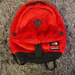 Supreme North Face Fur Backpack