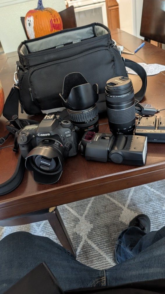 Cannon 80d Camera