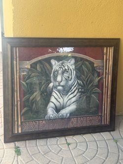 white tiger , and the normal tiger
