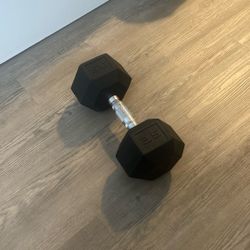 35 Pound Dumbbell 