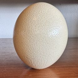 Egg 