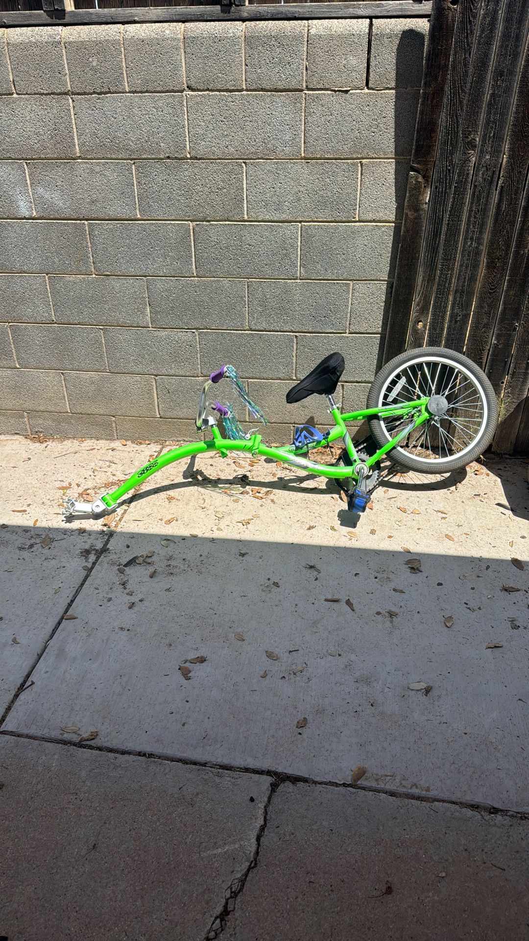 Kids Trailer Bike
