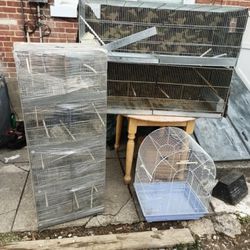 Bird Cages 