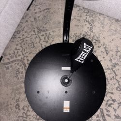 Everlast Speed Bag Punching Bag With Platform 