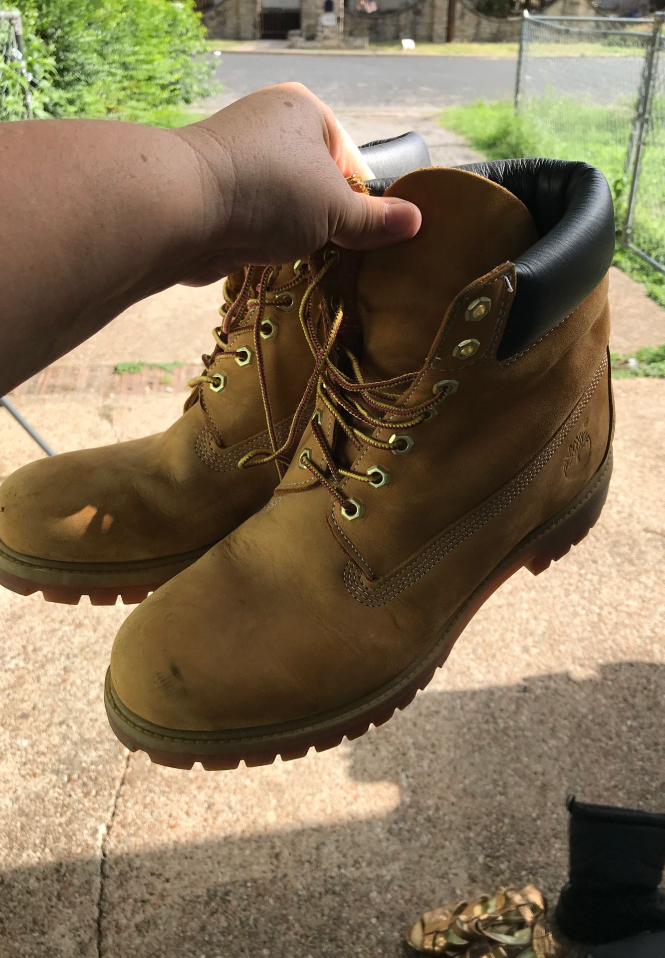 Timberland 10.5 Only 20