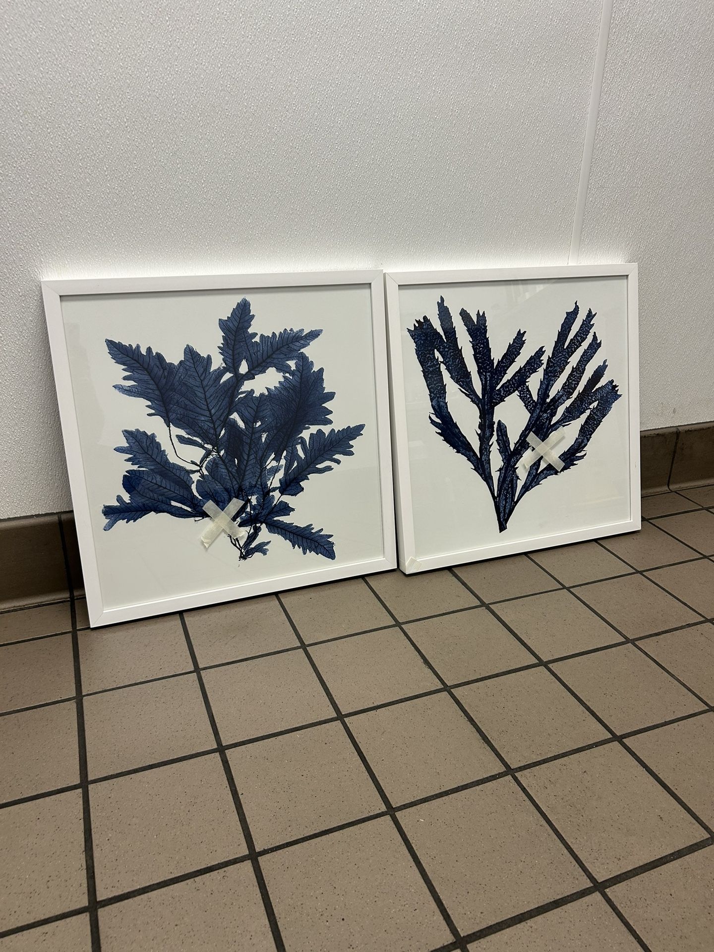 Indigo Coral Painting!! $90