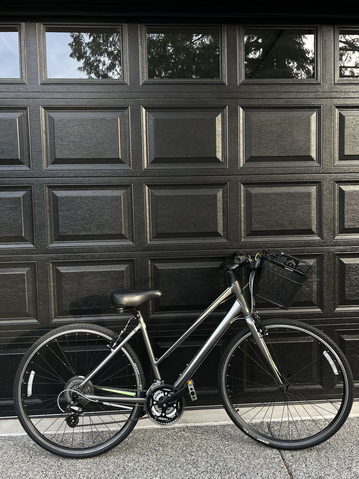 Liv Giant 2 Escape Hybrid Bike