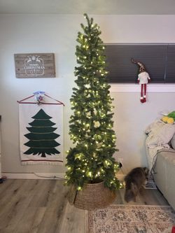 One Christmas Tree With Christmas Base