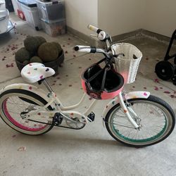 Beach Cruiser