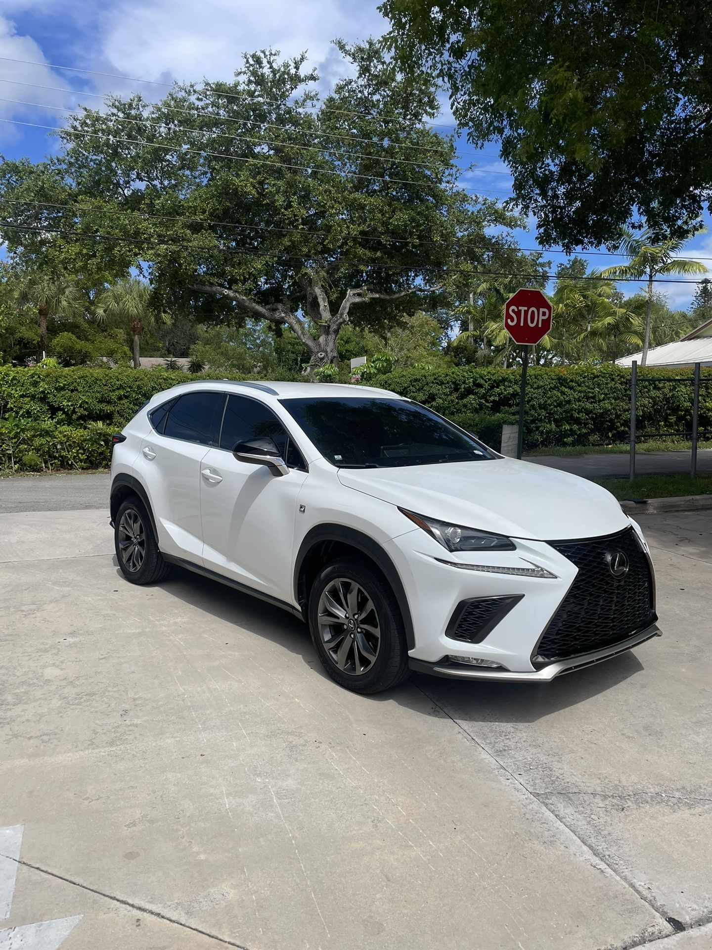 2021 Lexus NX 300