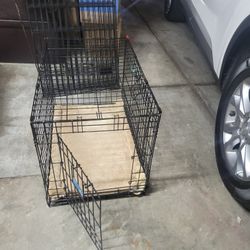 Dog Kennel